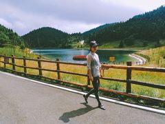 -武陵山森林公园