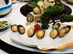 -宛平九号