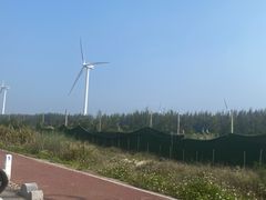 -长江澳风力发电景观区