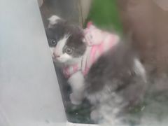 -北京华联合肥长江西路购物中心