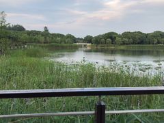 -昆山城市生态森林公园