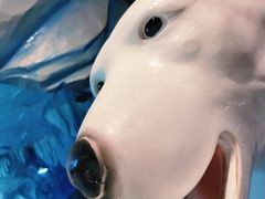 -芜湖新华联大白鲸海洋公园