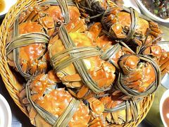 -蟹村草堂·苏式园林人文农家·大闸蟹