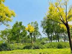 -东郊湿地公园