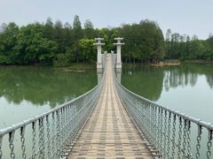 -东湖落雁景区