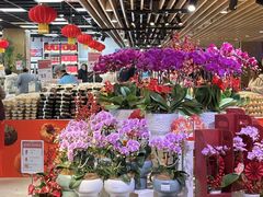 -洋洋广场(南街店)