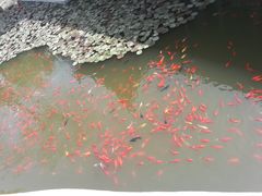 -秦始皇帝陵博物院-丽山园