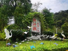 -广州白江湖森林公园
