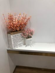 -YESIDO椰岛造型