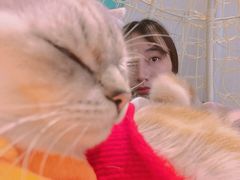-绒爪撸猫下午茶·猫咖