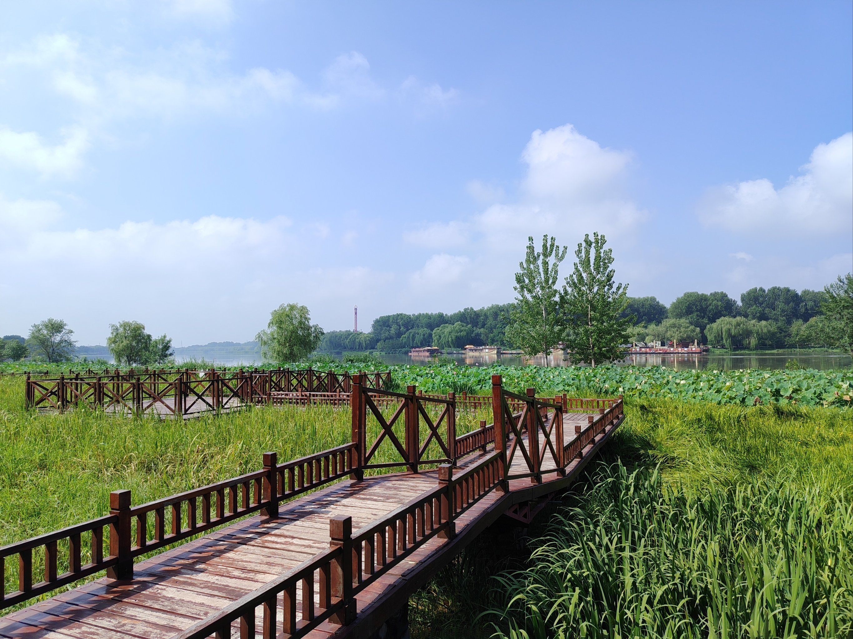 0元玩转这座城#郊野公园
打卡通州大运河文化旅游景区,景区炉化