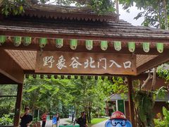 -野象谷景区