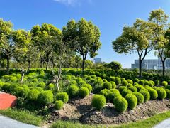 -春花秋色城市公园