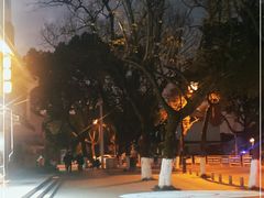 -东吴面馆(金门路金门国际商业广场店)