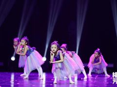 -舞蕾舞蹈·专注中国舞18年(天通苑中心校区)