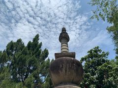 -南普陀素菜馆