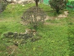 -黔灵山公园