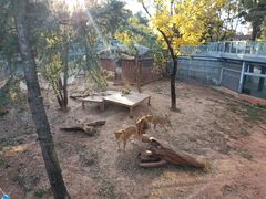 -昆明动物园