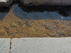 -福建土楼（华安）旅游区•大地土楼群