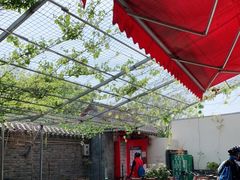 露天位-伊隆斋(什刹海店)