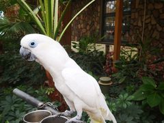 -南宫五洲植物乐园