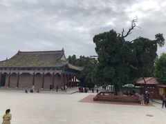 -黄帝陵
