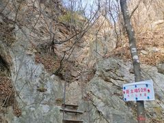 -大连天门山国家森林公园