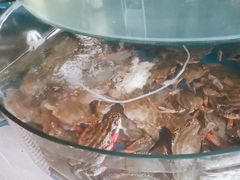 -蓝珊甄选海鲜自助·火锅大排档(近阿那亚店)
