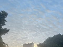 -四川大学(江安校区)