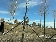 -鄂尔多斯野生动物园