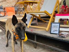 -大理床单厂艺术区