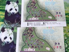 -合肥野生动物园