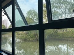 -上海滨江森林公园