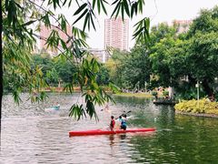 -晓港公园