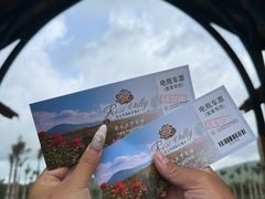 -亚龙湾国际玫瑰谷