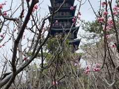 -上海方塔园