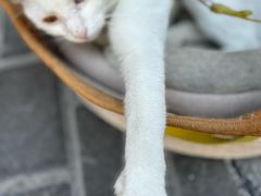 -张记牛肉面馆(天津路店)