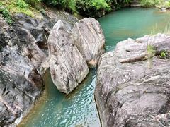 -广州白江湖森林公园