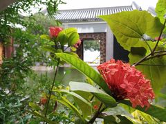 -广州神农草堂中医药博物馆