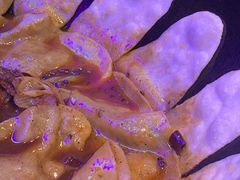 -农家霸王地锅鸡(国顺东路店)