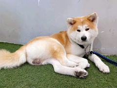 -YCHL Studios健身工作室(市二宫店)