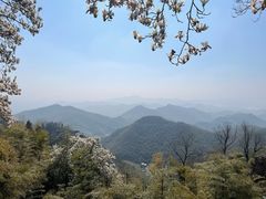 -莫干山风景区
