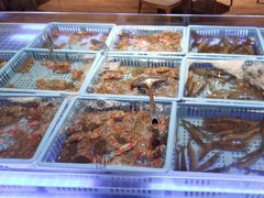 -青岛蓝海御华大饭店（金沙滩店）·蓝钻国际美食自助百汇