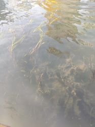 -星海水上乐园(星海广场圣亚店)