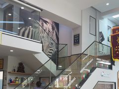 -联合动物医院(光谷诊疗中心)