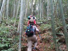 -鸡枕山