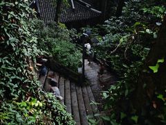 -韬光茶庵