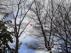 -梧桐山风景名胜区