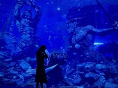 -哈尔滨波塞冬海底世界