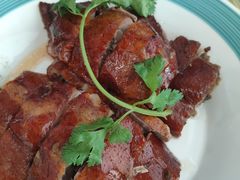 椿记烧鹅-椿记烧鹅(叠彩店)